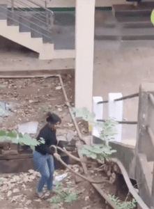 Fearless Lady Catches Snakes Bare-Handed: A Daring Display of Bravery!