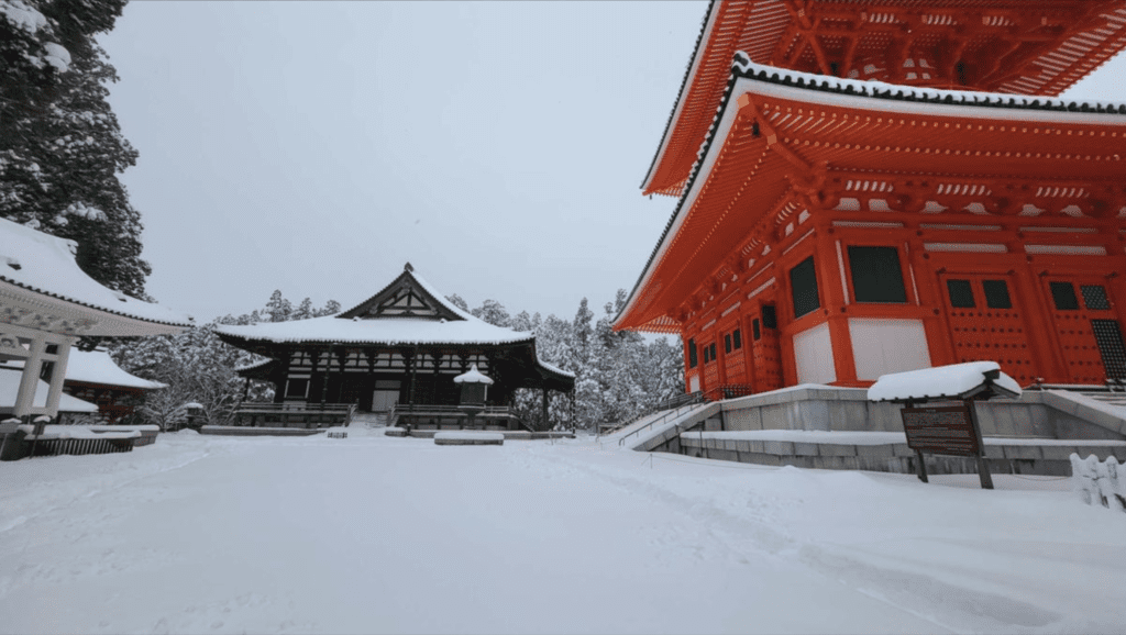 Japan Travel